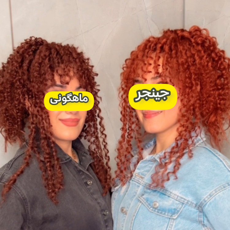 ست چتری و دم اسبی آفرو